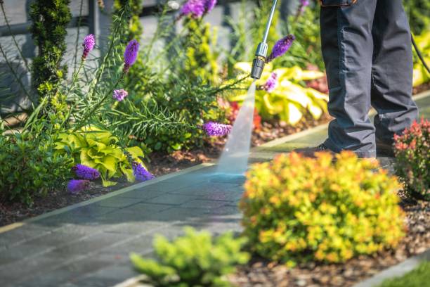 Best Sidewalk and Walkway Cleaning  in Bawcomville, LA